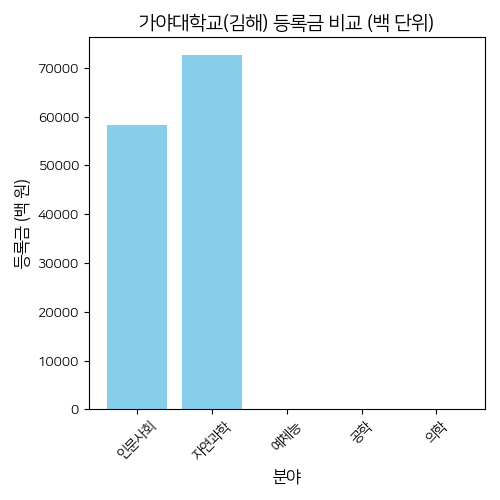 가야대학교 등록금 분석(2024년 기준)